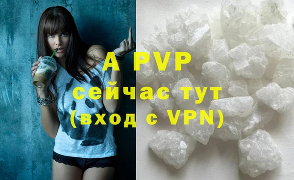сатива Волоколамск