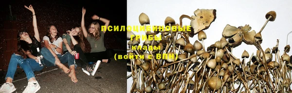 спайс Волосово