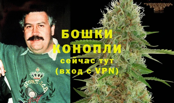 сатива Волоколамск
