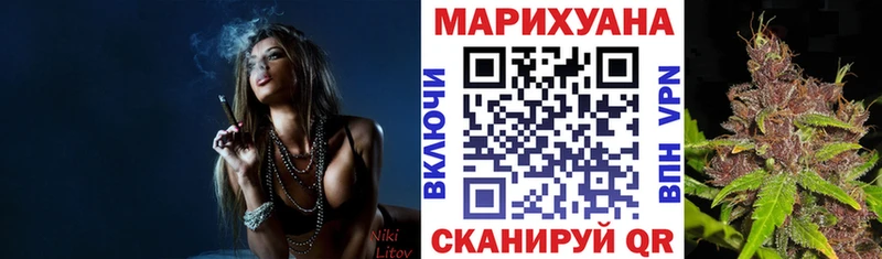 Каннабис OG Kush  Лобня 
